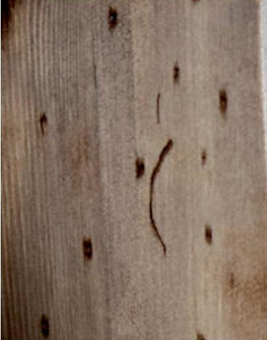 WOODEN FLOOR STRUCTURE WITH POZZO TINOZZA MIRROR